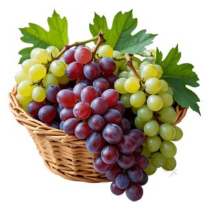 Виноград