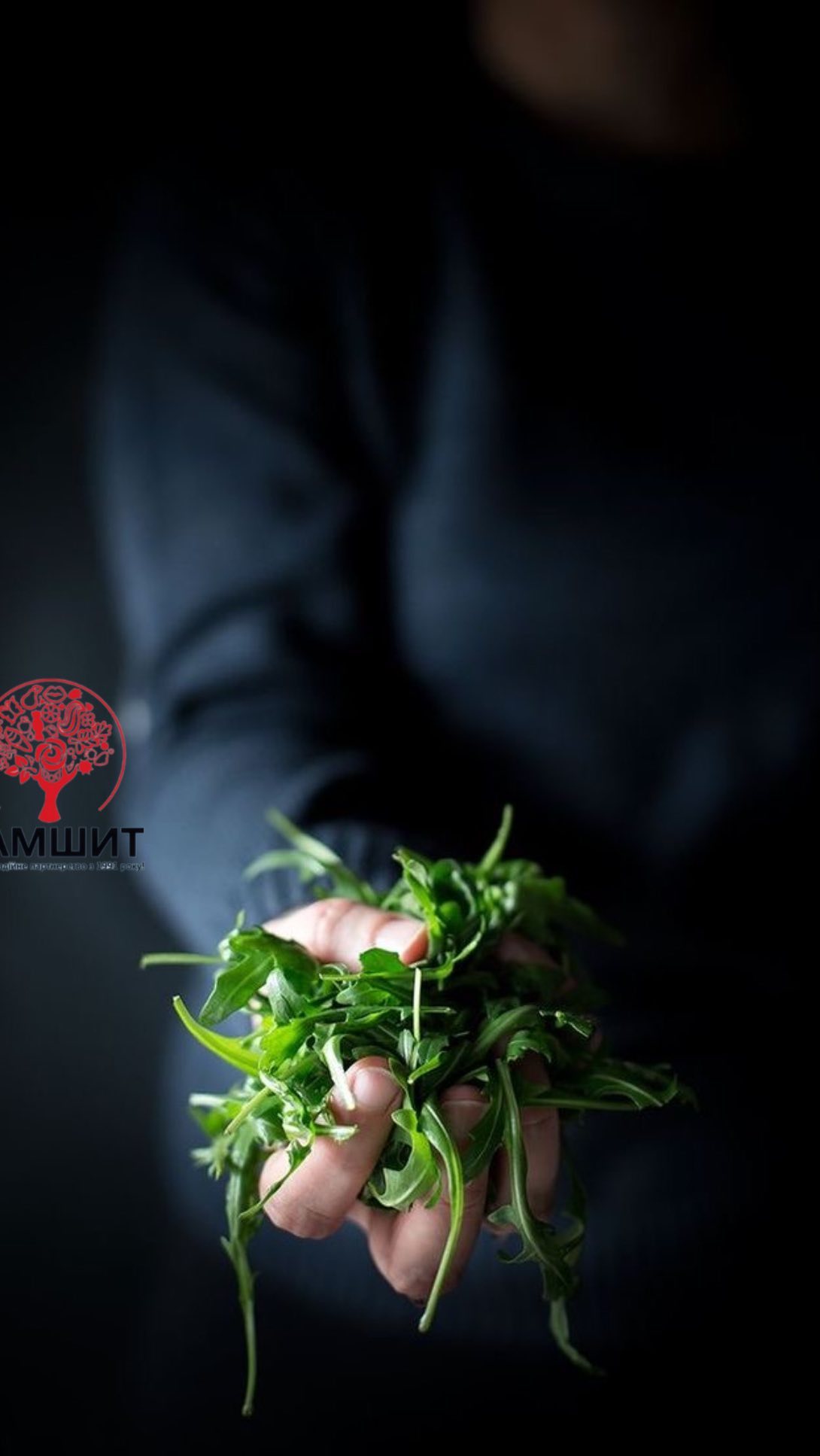 🥦🍏Тенденція в харчовій сфері: Натхнення здоровʼям і стійкістю💪🏼